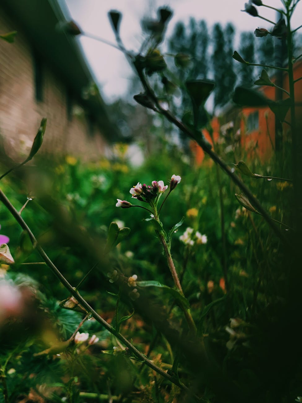 Kaip Lietuvos regioniniai naujienų portalai keičia informacijos vartojimo įpročius: tendencijos ir įžvalgos