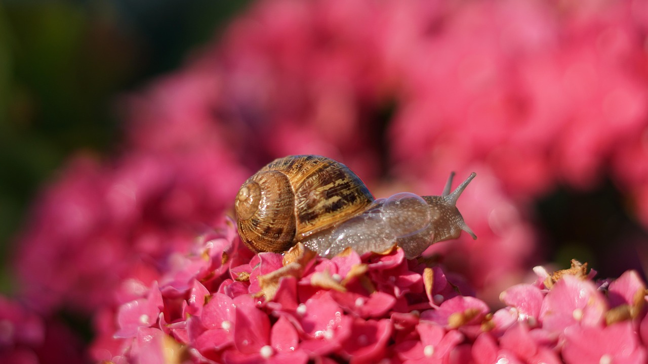 Kodėl kompiuteris lėtai veikia: 7 dažniausios priežastys ir kaip jas išspręsti namuose